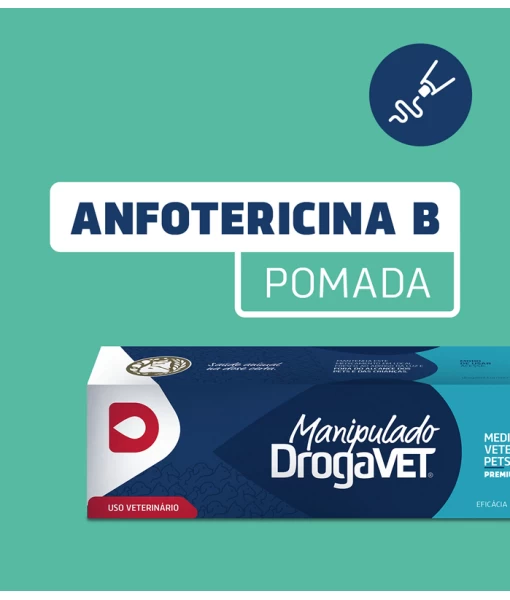 Pomadas Anfotericina B